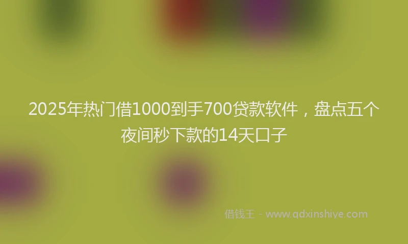 2025年热门借1000到手700贷款软件，盘点五个夜间秒下款的14天口子