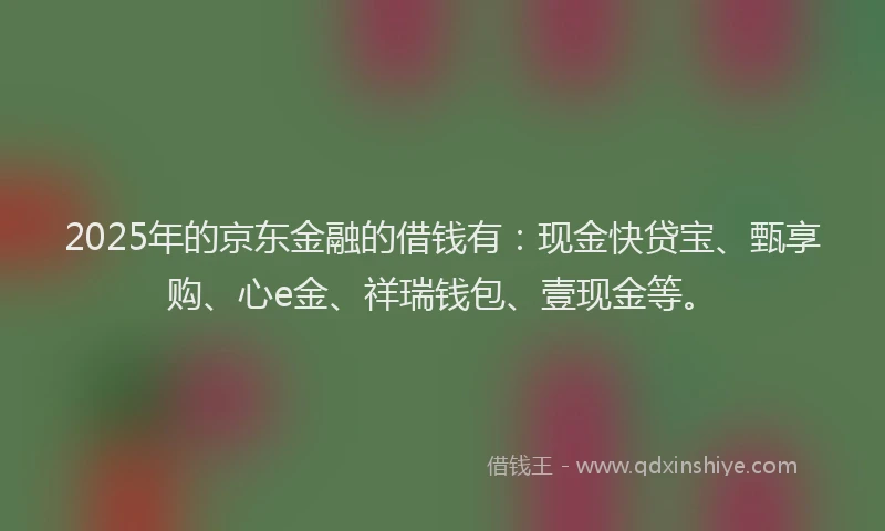 2025年的京东金融的借钱有：现金快贷宝、甄享购、心e金、祥瑞钱包、壹现金等。