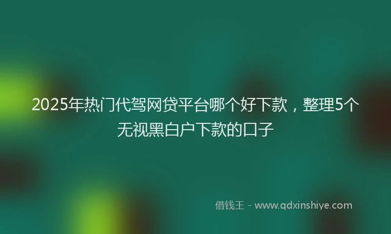 2025年热门代驾网贷平台哪个好下款，整理5个无视黑白户下款的口子
