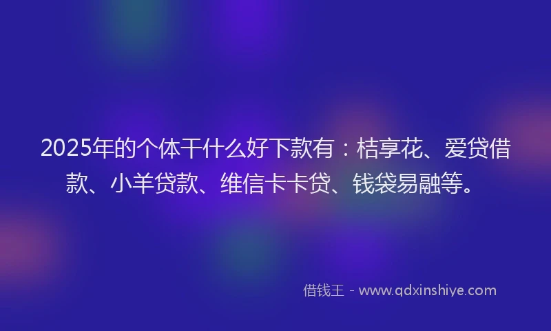2025年的个体干什么好下款有：桔享花、爱贷借款、小羊贷款、维信卡卡贷、钱袋易融等。