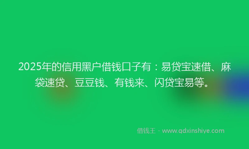2025年的信用黑户借钱口子有：易贷宝速借、麻袋速贷、豆豆钱、有钱来、闪贷宝易等。
