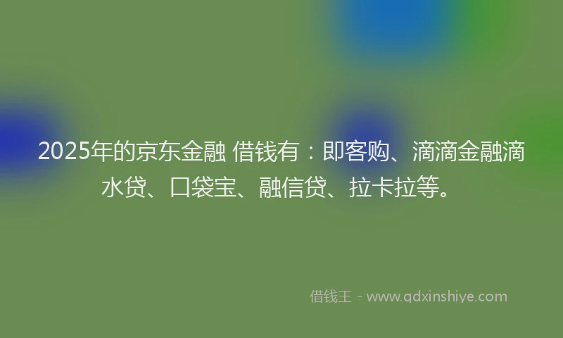 2025年的京东金融 借钱有：即客购、滴滴金融滴水贷、口袋宝、融信贷、拉卡拉等。