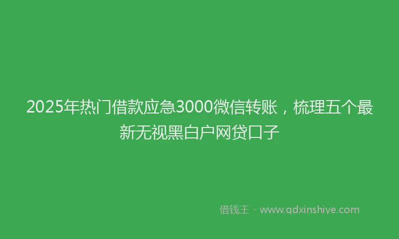 2025年热门借款应急3000微信转账，梳理五个最新无视黑白户网贷口子