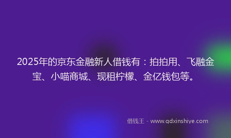 2025年的京东金融新人借钱有：拍拍用、飞融金宝、小喵商城、现租柠檬、金亿钱包等。