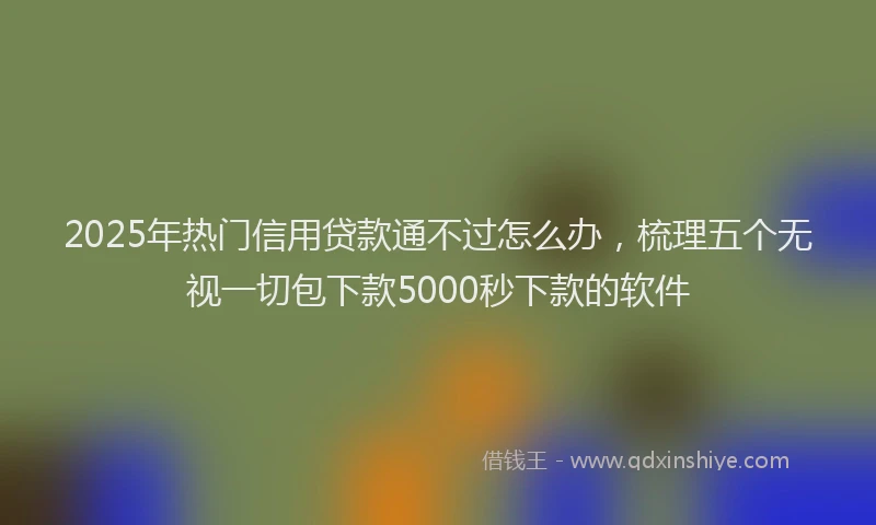 2025年热门信用贷款通不过怎么办，梳理五个无视一切包下款5000秒下款的软件