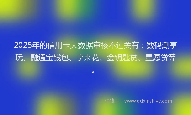 2025年的信用卡大数据审核不过关有：数码潮享玩、融通宝钱包、享来花、金钥匙贷、星愿贷等。