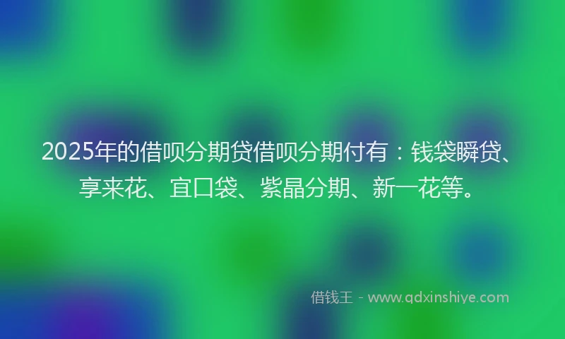 2025年的借呗分期贷借呗分期付有：钱袋瞬贷、享来花、宜口袋、紫晶分期、新一花等。