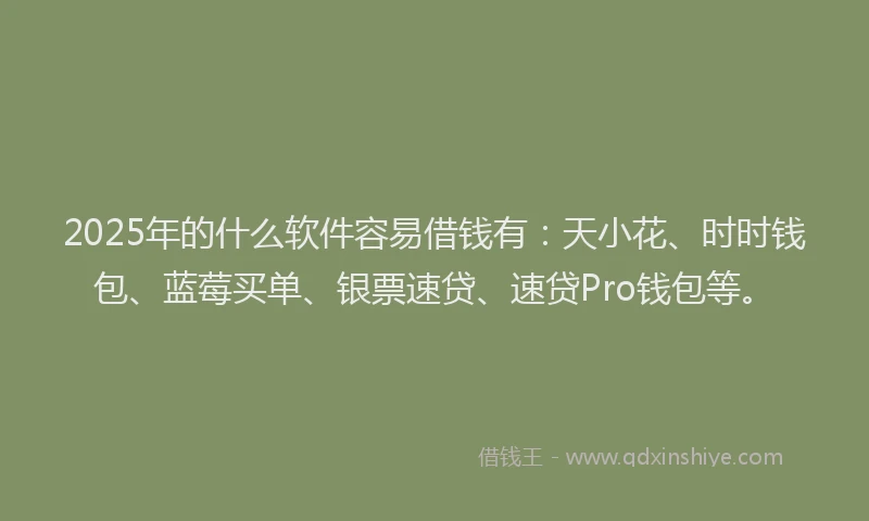2025年的什么软件容易借钱有：天小花、时时钱包、蓝莓买单、银票速贷、速贷Pro钱包等。