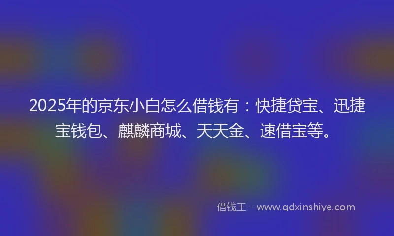 2025年的京东小白怎么借钱有：快捷贷宝、迅捷宝钱包、麒麟商城、天天金、速借宝等。