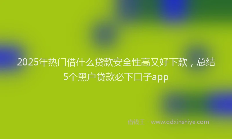 2025年热门借什么贷款安全性高又好下款，总结5个黑户贷款必下口子app