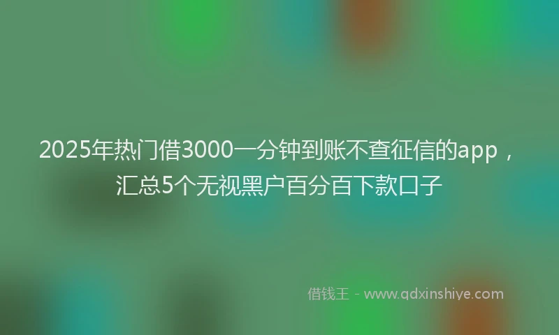 2025年热门借3000一分钟到账不查征信的app，汇总5个无视黑户百分百下款口子