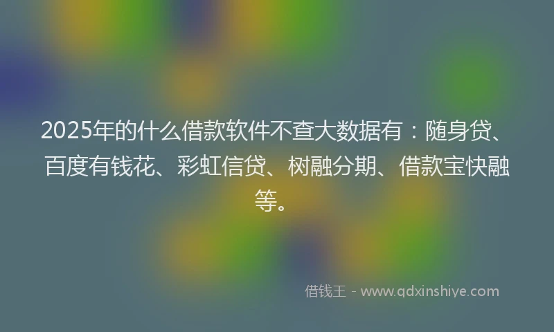 2025年的什么借款软件不查大数据有：随身贷、百度有钱花、彩虹信贷、树融分期、借款宝快融等。