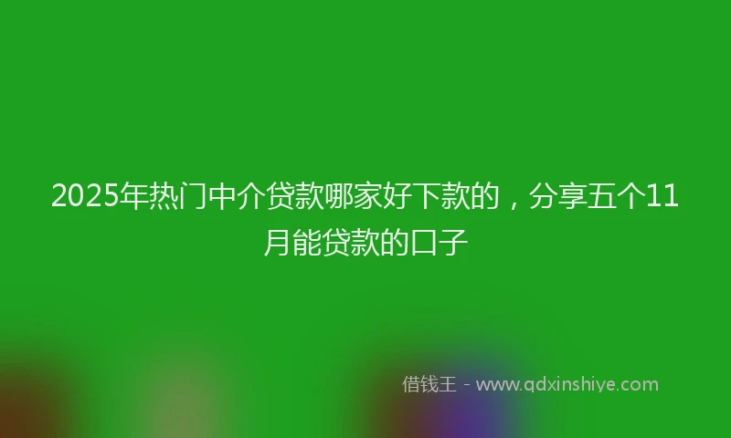 2025年热门中介贷款哪家好下款的，分享五个11月能贷款的口子