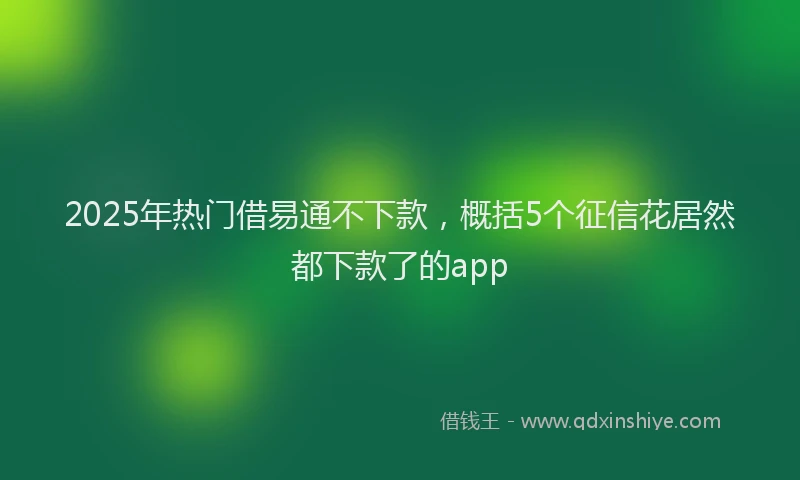 2025年热门借易通不下款，概括5个征信花居然都下款了的app