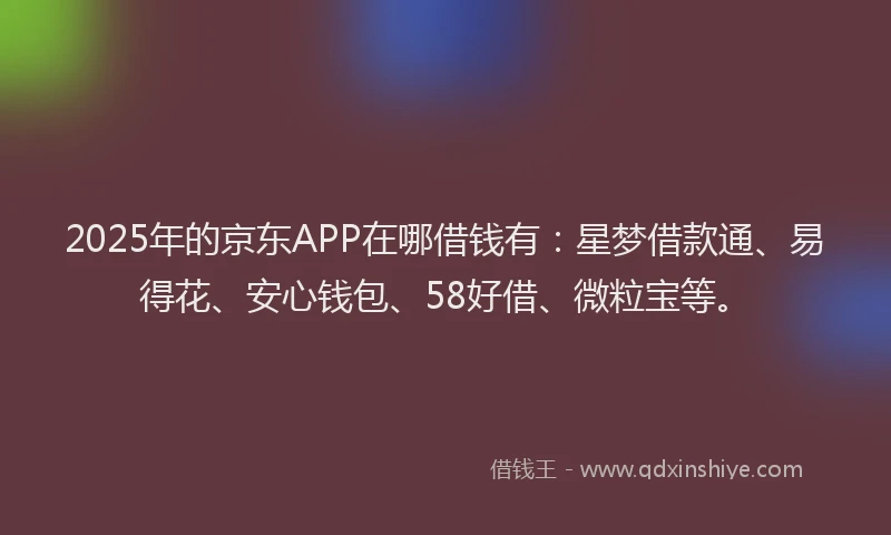 2025年的京东APP在哪借钱有：星梦借款通、易得花、安心钱包、58好借、微粒宝等。
