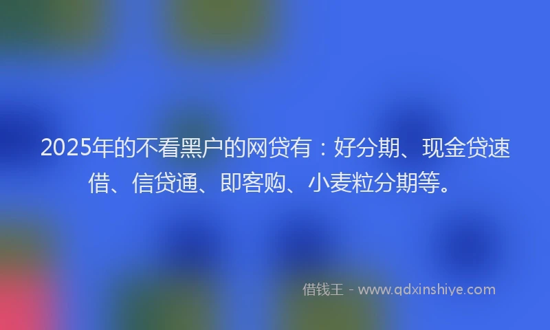 2025年的不看黑户的网贷有：好分期、现金贷速借、信贷通、即客购、小麦粒分期等。