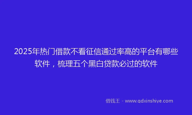 2025年热门借款不看征信通过率高的平台有哪些软件，梳理五个黑白贷款必过的软件