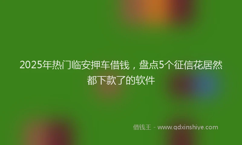 2025年热门临安押车借钱，盘点5个征信花居然都下款了的软件