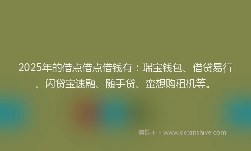 2025年的借点借点借钱有：瑞宝钱包、借贷易行、闪贷宝速融、随手贷、蛮想购租机等。