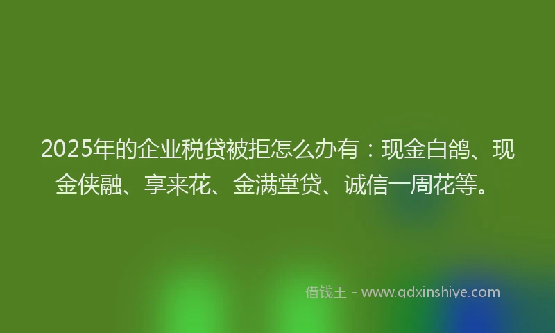 2025年的企业税贷被拒怎么办有：现金白鸽、现金侠融、享来花、金满堂贷、诚信一周花等。