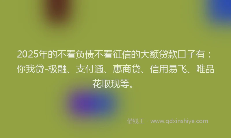 2025年的不看负债不看征信的大额贷款口子有：你我贷-极融、支付通、惠商贷、信用易飞、唯品花取现等。