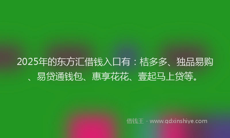 2025年的东方汇借钱入口有：桔多多、独品易购、易贷通钱包、惠享花花、壹起马上贷等。