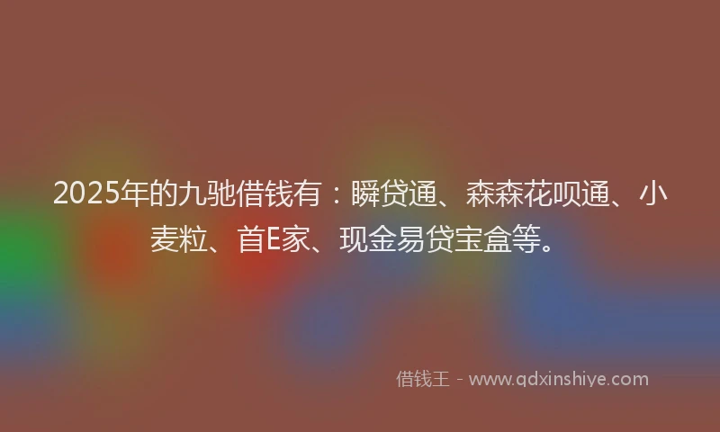 2025年的九驰借钱有：瞬贷通、森森花呗通、小麦粒、首E家、现金易贷宝盒等。