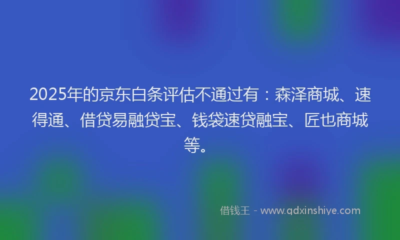 2025年的京东白条评估不通过有：森泽商城、速得通、借贷易融贷宝、钱袋速贷融宝、匠也商城等。