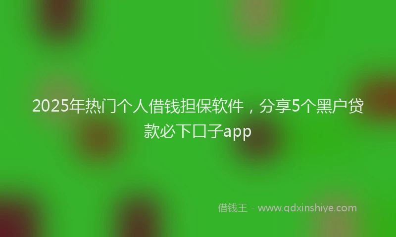 2025年热门个人借钱担保软件，分享5个黑户贷款必下口子app