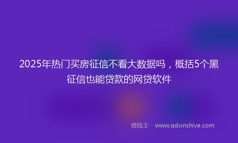 2025年热门买房征信不看大数据吗，概括5个黑征信也能贷款的网贷软件