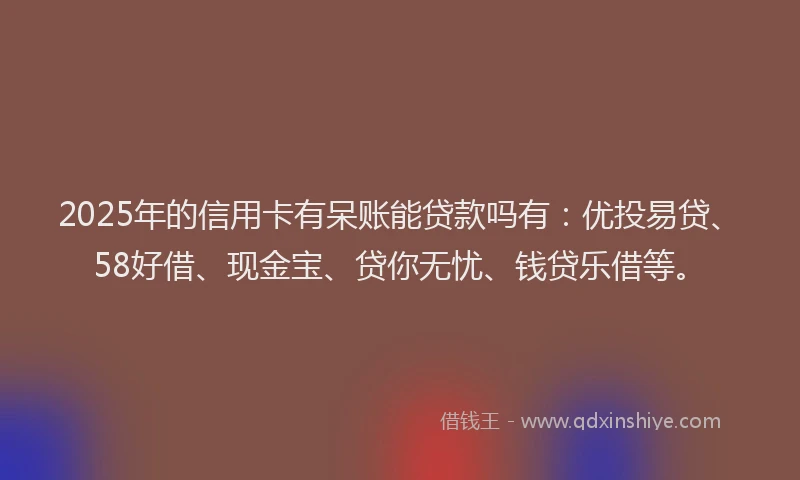 2025年的信用卡有呆账能贷款吗有：优投易贷、58好借、现金宝、贷你无忧、钱贷乐借等。