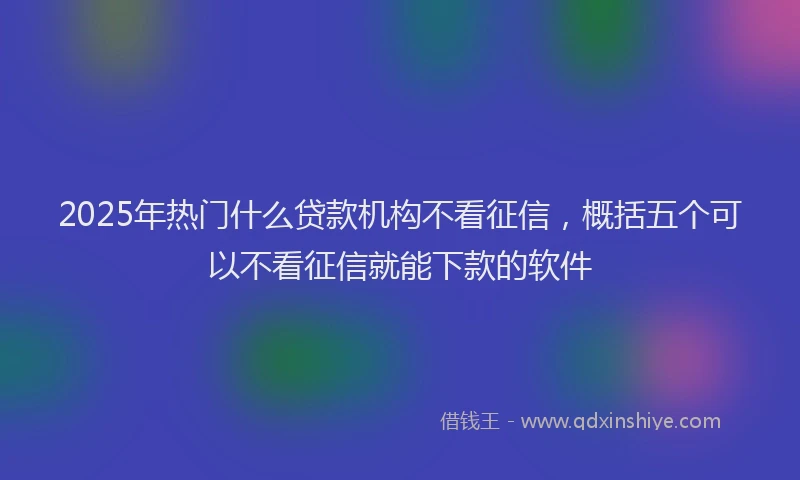 2025年热门什么贷款机构不看征信，概括五个可以不看征信就能下款的软件