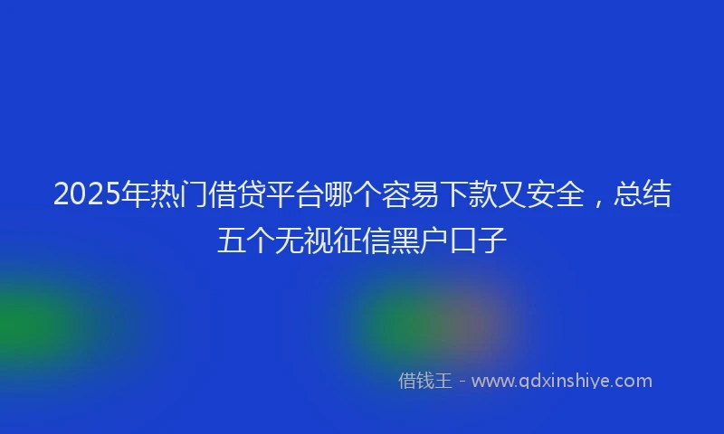 2025年热门借贷平台哪个容易下款又安全，总结五个无视征信黑户口子