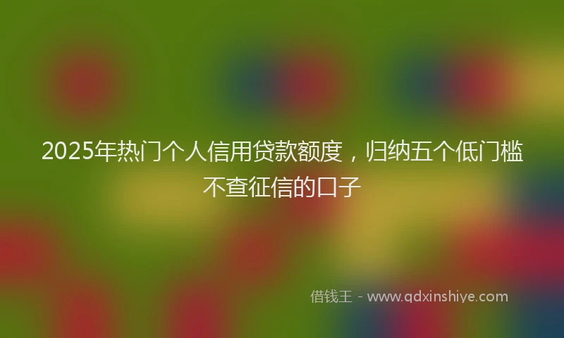 2025年热门个人信用贷款额度，归纳五个低门槛不查征信的口子