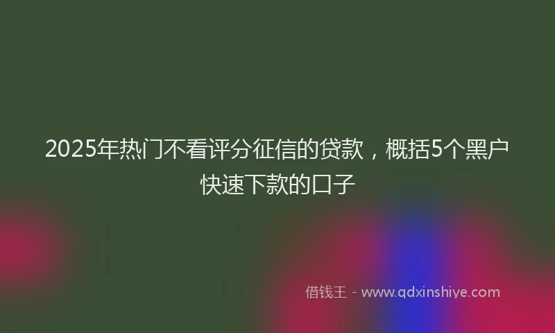 2025年热门不看评分征信的贷款，概括5个黑户快速下款的口子
