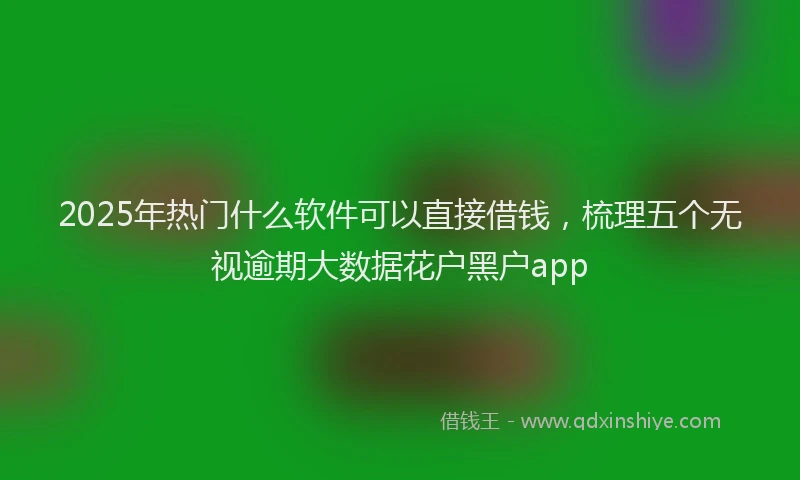 2025年热门什么软件可以直接借钱，梳理五个无视逾期大数据花户黑户app