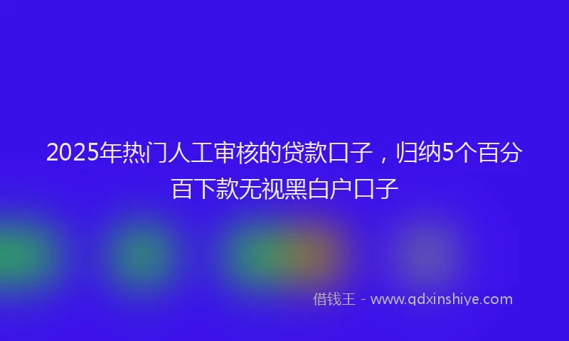 2025年热门人工审核的贷款口子，归纳5个百分百下款无视黑白户口子