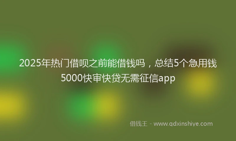2025年热门借呗之前能借钱吗，总结5个急用钱5000快审快贷无需征信app