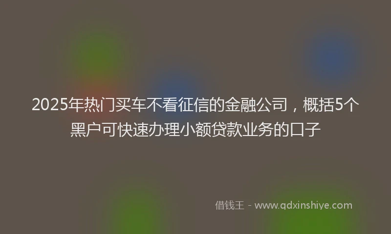 2025年热门买车不看征信的金融公司，概括5个黑户可快速办理小额贷款业务的口子