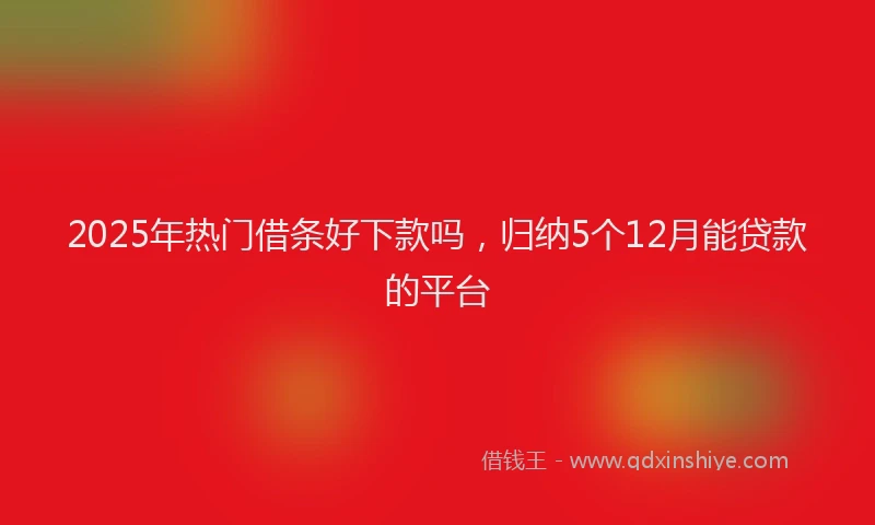 2025年热门借条好下款吗，归纳5个12月能贷款的平台