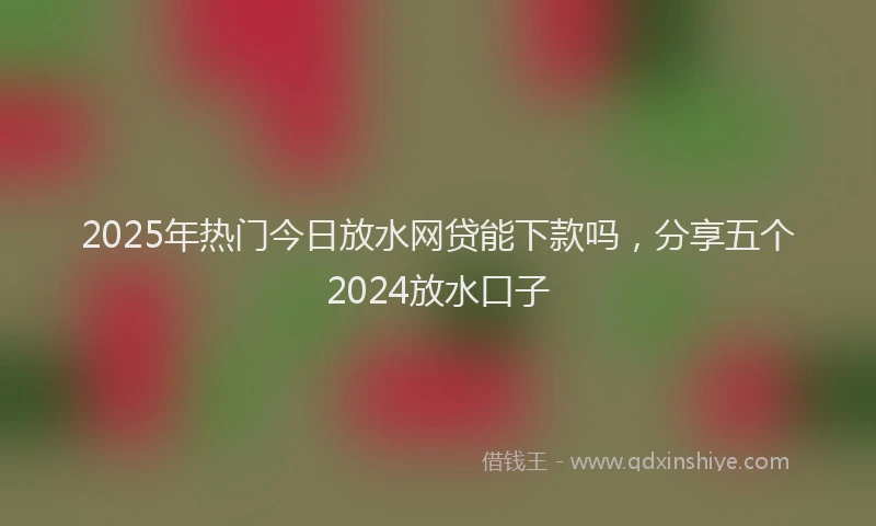 2025年热门今日放水网贷能下款吗，分享五个2024放水口子