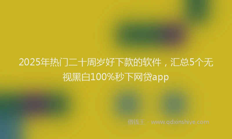 2025年热门二十周岁好下款的软件，汇总5个无视黑白100%秒下网贷app