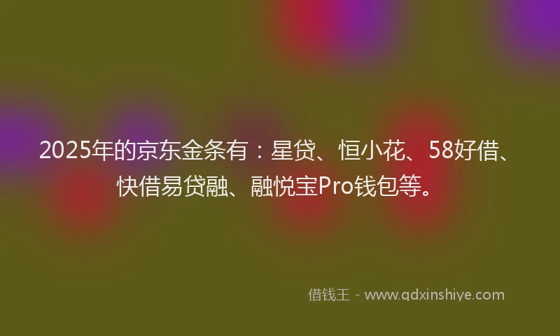 2025年的京东金条有：星贷、恒小花、58好借、快借易贷融、融悦宝Pro钱包等。