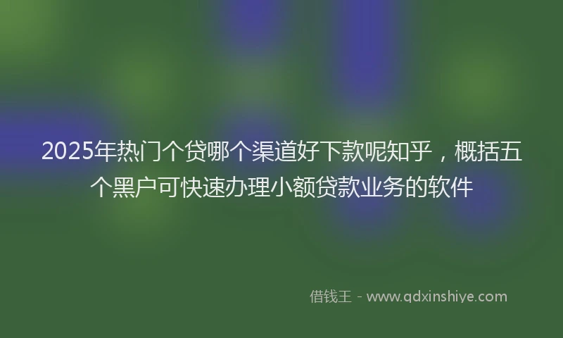 2025年热门个贷哪个渠道好下款呢知乎，概括五个黑户可快速办理小额贷款业务的软件