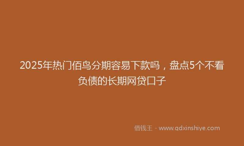 2025年热门佰鸟分期容易下款吗，盘点5个不看负债的长期网贷口子