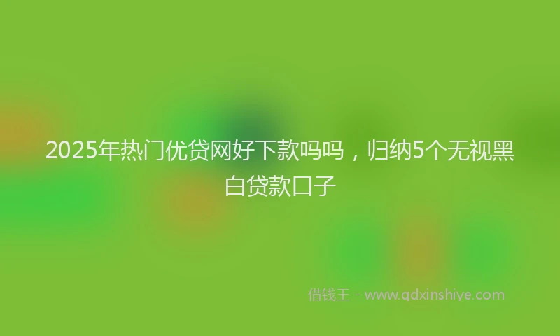 2025年热门优贷网好下款吗吗，归纳5个无视黑白贷款口子