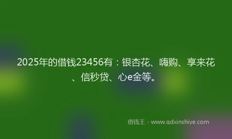 2025年的借钱23456有：银杏花、嗨购、享来花、信秒贷、心e金等。