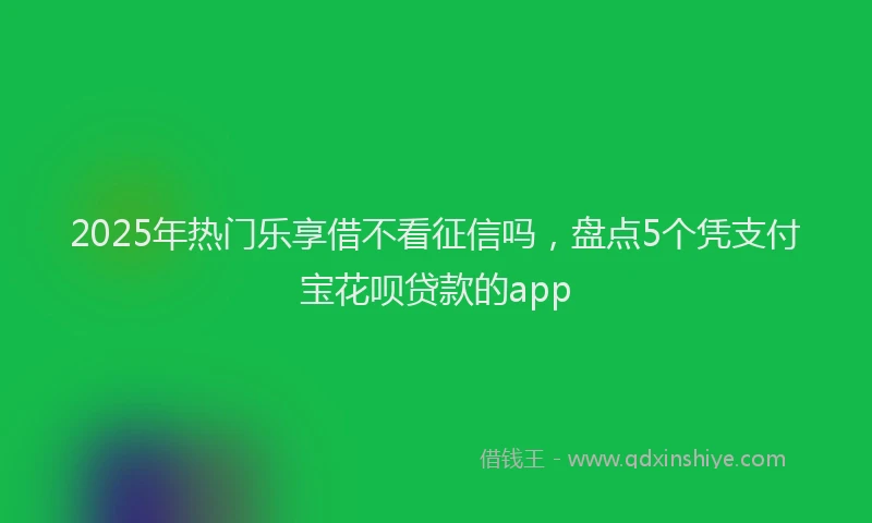 2025年热门乐享借不看征信吗，盘点5个凭支付宝花呗贷款的app