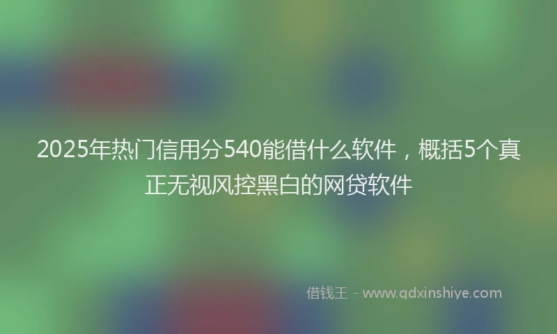 2025年热门信用分540能借什么软件，概括5个真正无视风控黑白的网贷软件