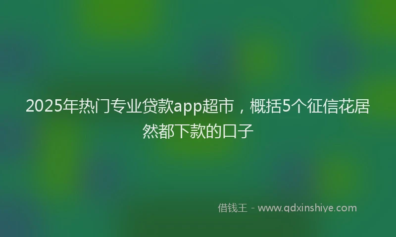 2025年热门专业贷款app超市，概括5个征信花居然都下款的口子